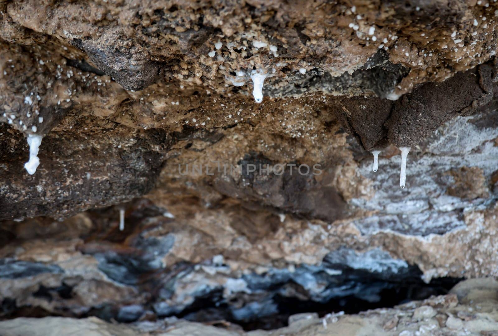 On a rocky outcrop on the coast, small stalactites are formed by mineral-rich water seeping through the rock.