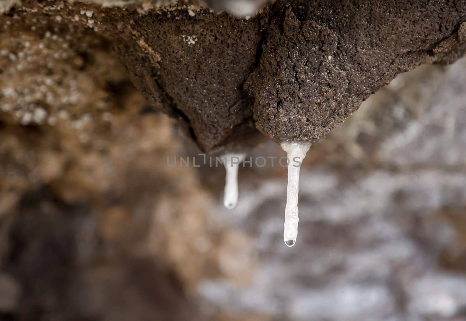 On a rocky outcrop on the coast, small stalactites are formed by mineral-rich water seeping through the rock.