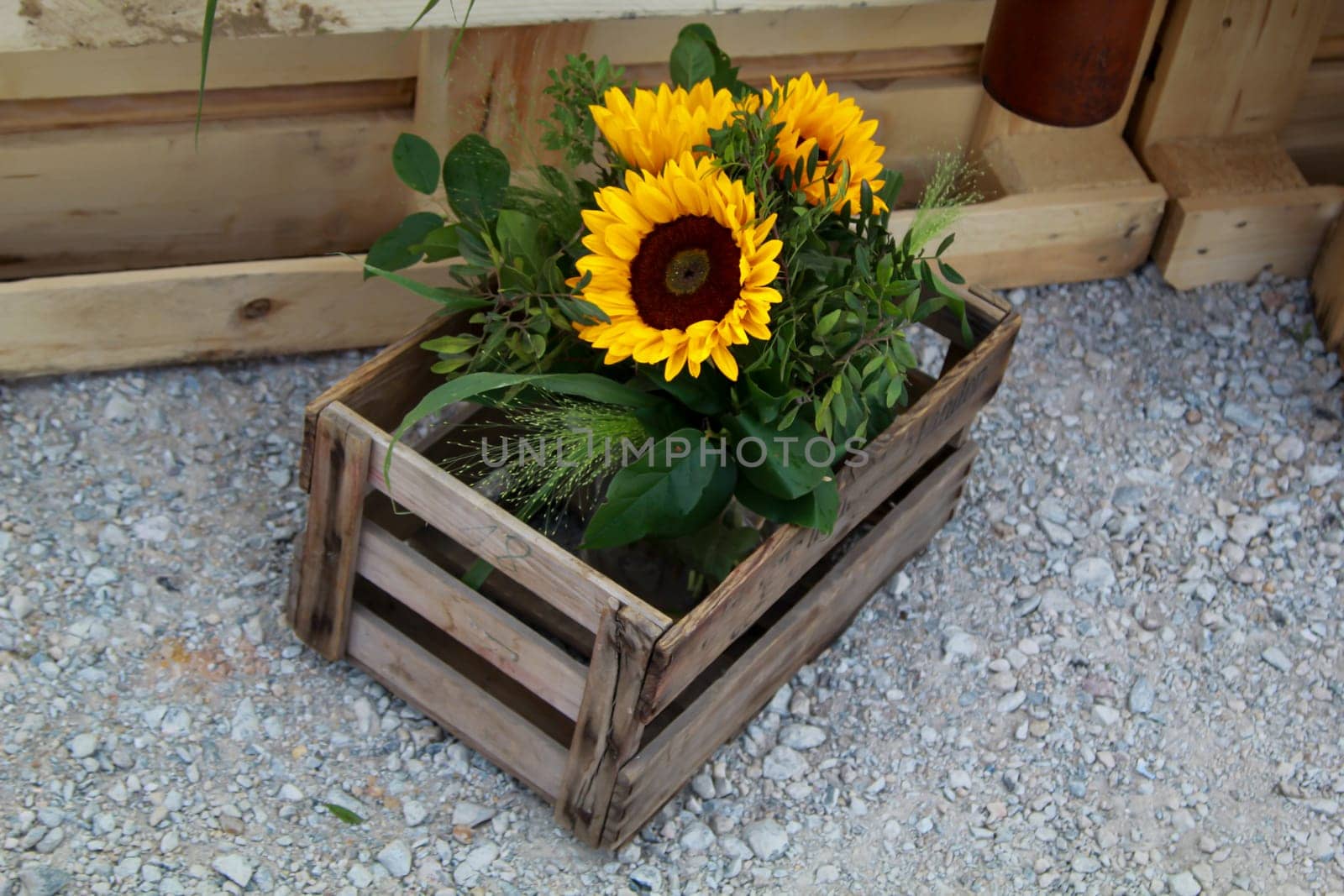A festive decoration with beautiful yellow sunflowers.