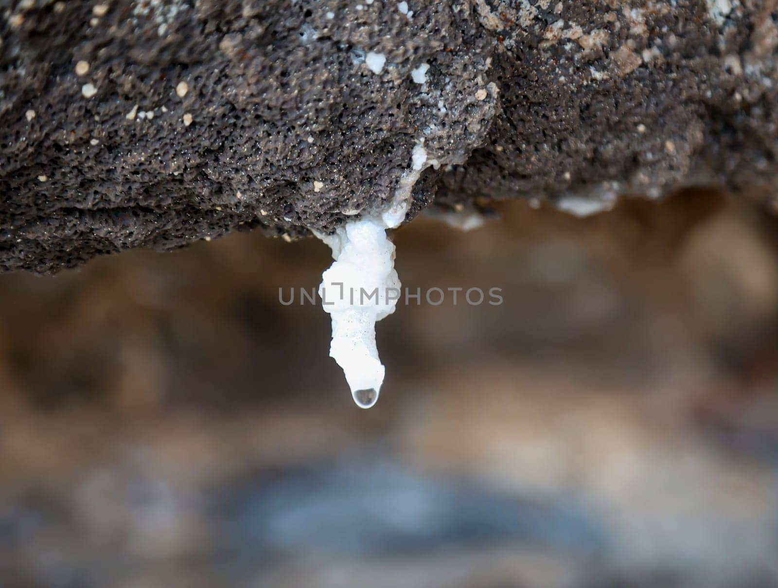 On a rocky outcrop on the coast, small stalactites are formed by mineral-rich water seeping through the rock.