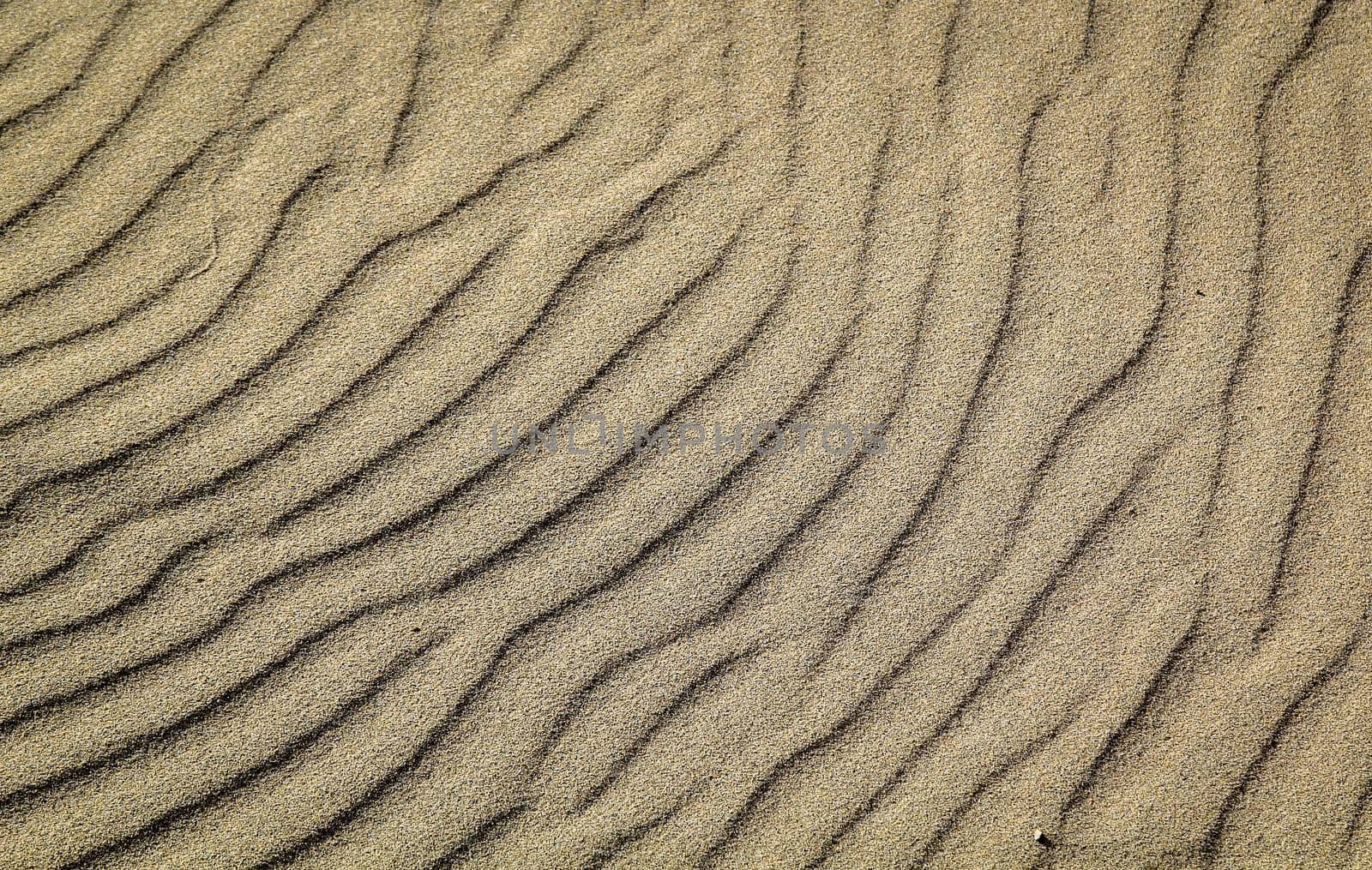 A texture of sand on the beach created by wind and waves.