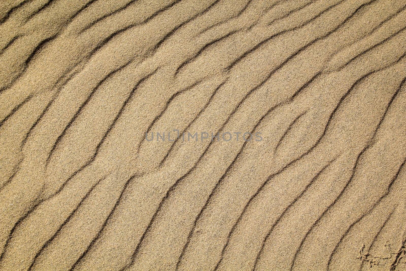 A texture of sand on the beach created by wind and waves.