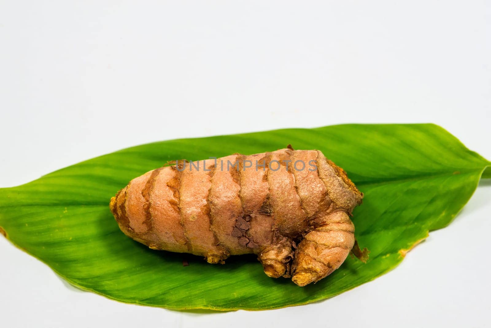 turmeric root on a turmeric leaf in a closeup
