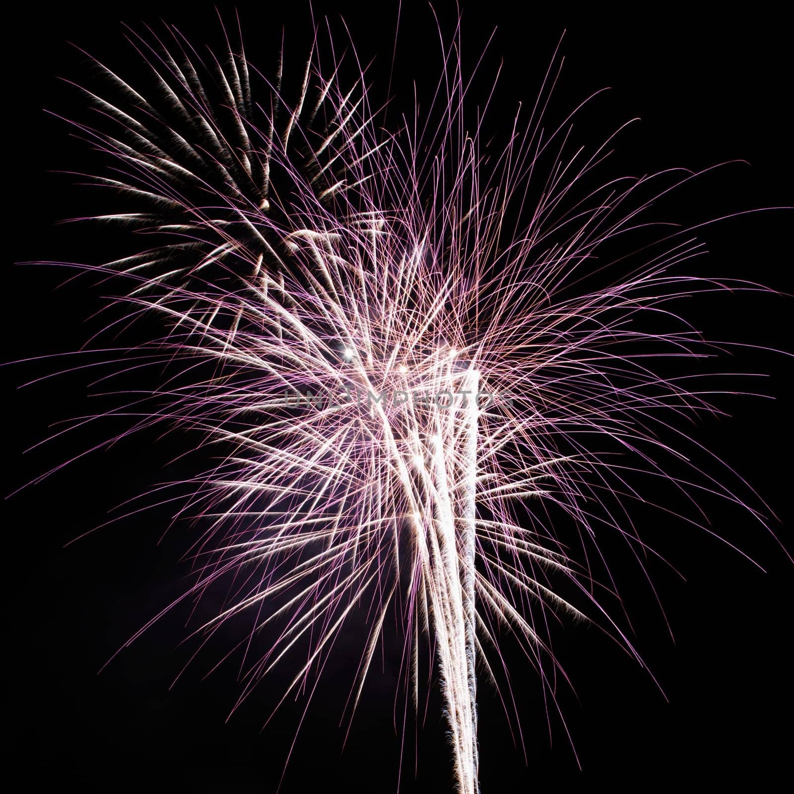 Colorful fireworks exploding in night sky.