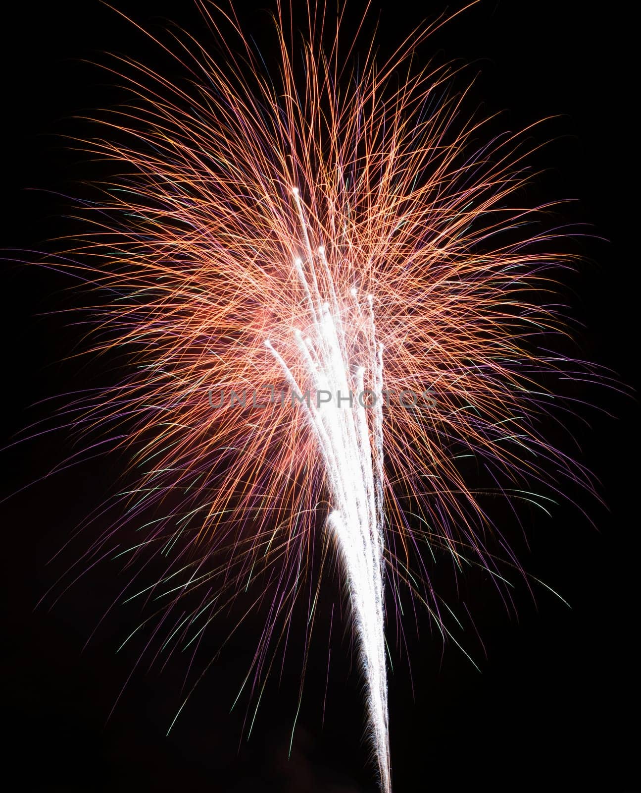 Colorful fireworks exploding in night sky.