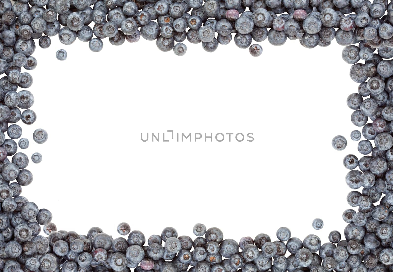 Fresh Blueberries Border Isolated on a White Background.