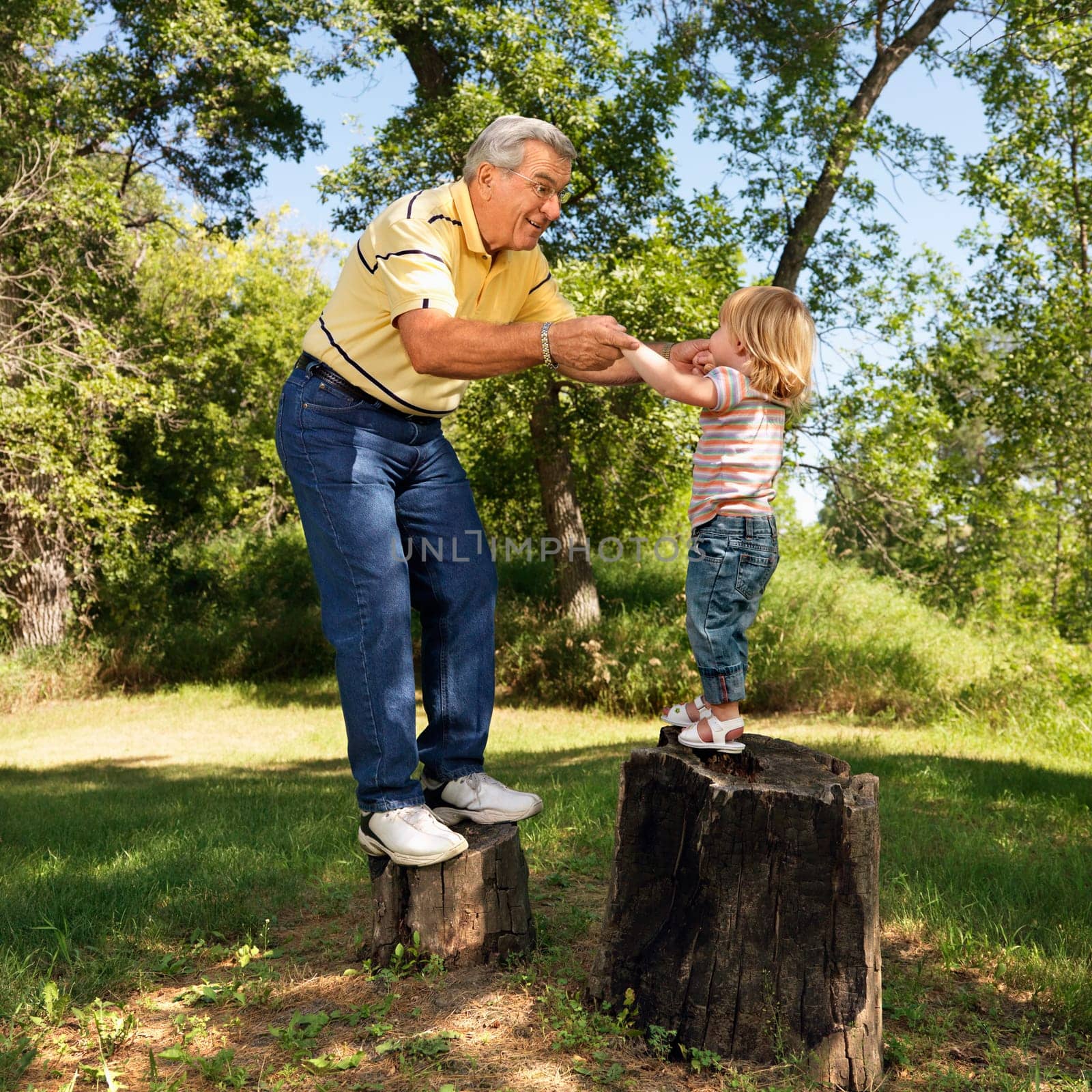 Grandfather and granddaughter playing outside holding hands balancing on stumps.