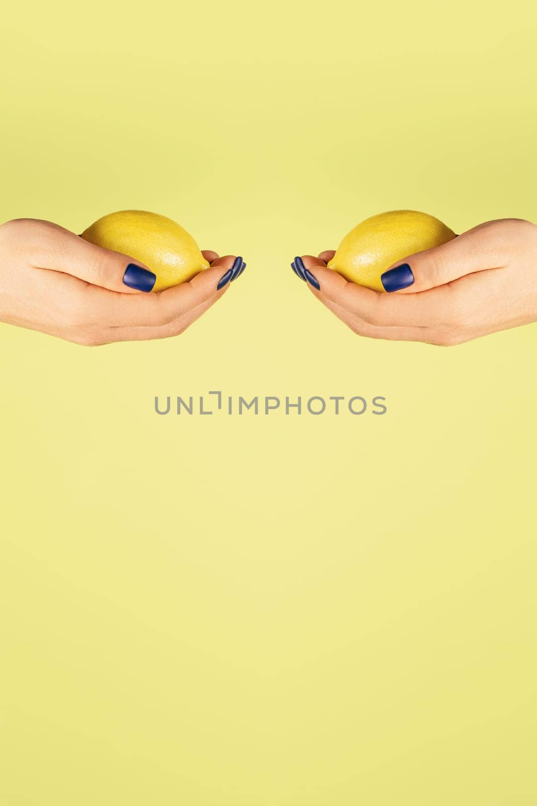 Two open female hands with blue nails holding fresh lemons opposite each other isolated on yellow. Creative art concept. Food minimal colorful concept. Vertical. Copy space. Mock up.