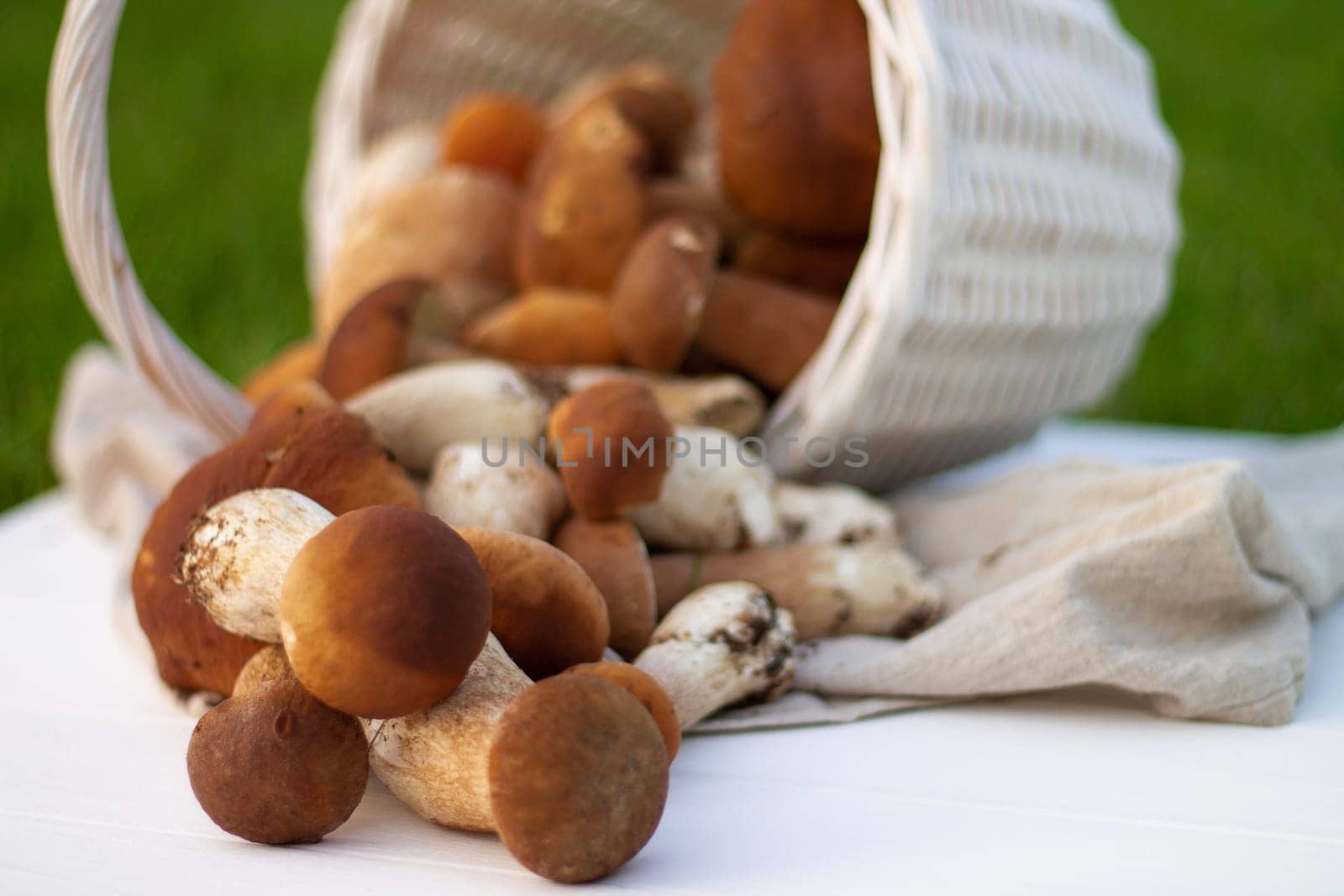 White wicker basket with brown boletus mushrooms.