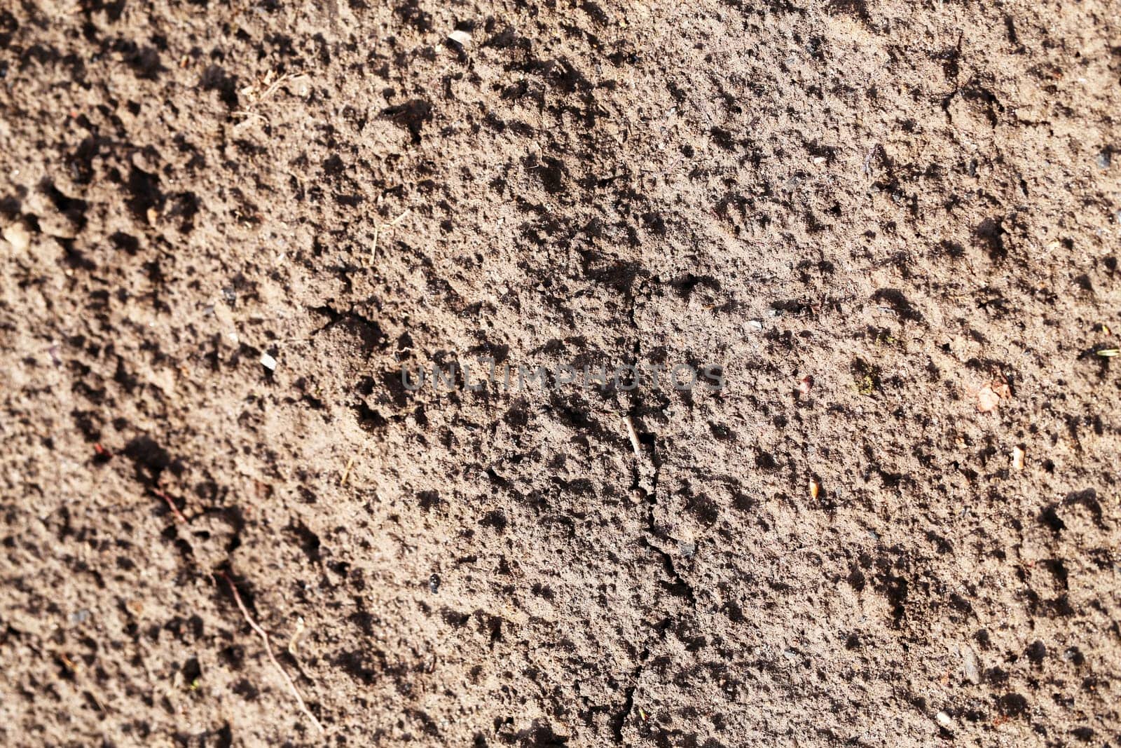 The texture of the soil of the earth photographed close up
