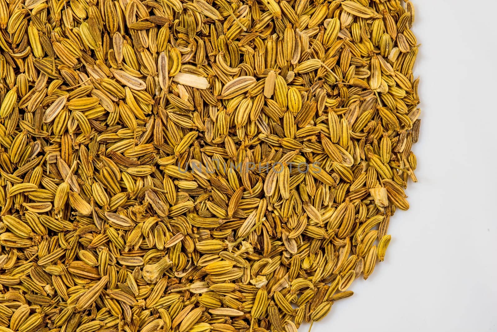 Fennel seeds, medicinal drug and spice