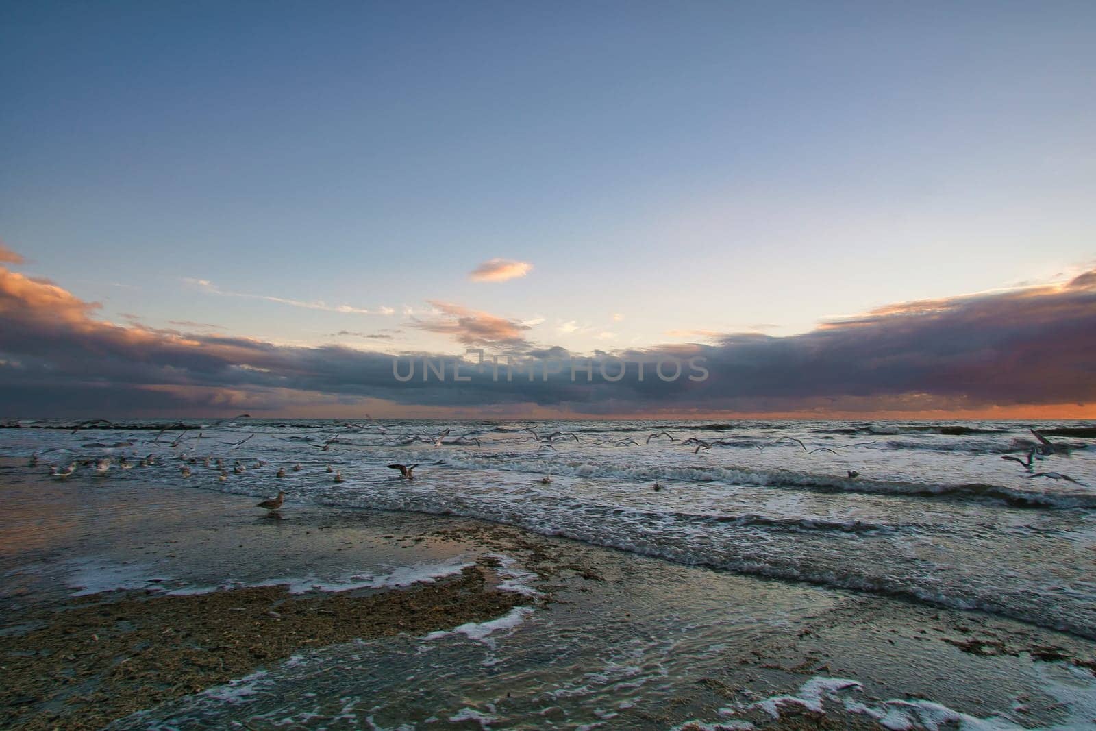 Sunset on the beach in Denmark. Waves rolling over the sand. Walk on the coast. Landscape photo by the sea