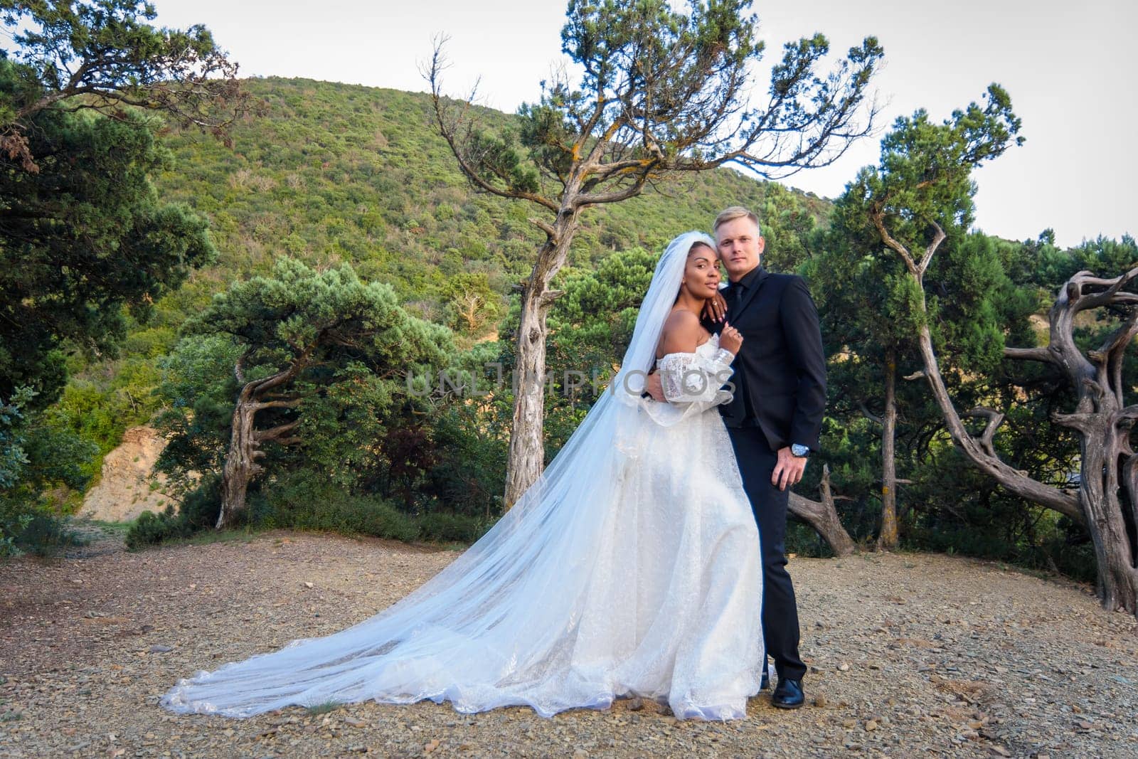 Beautiful interracial wedding couple on the background of the old forest and mountains