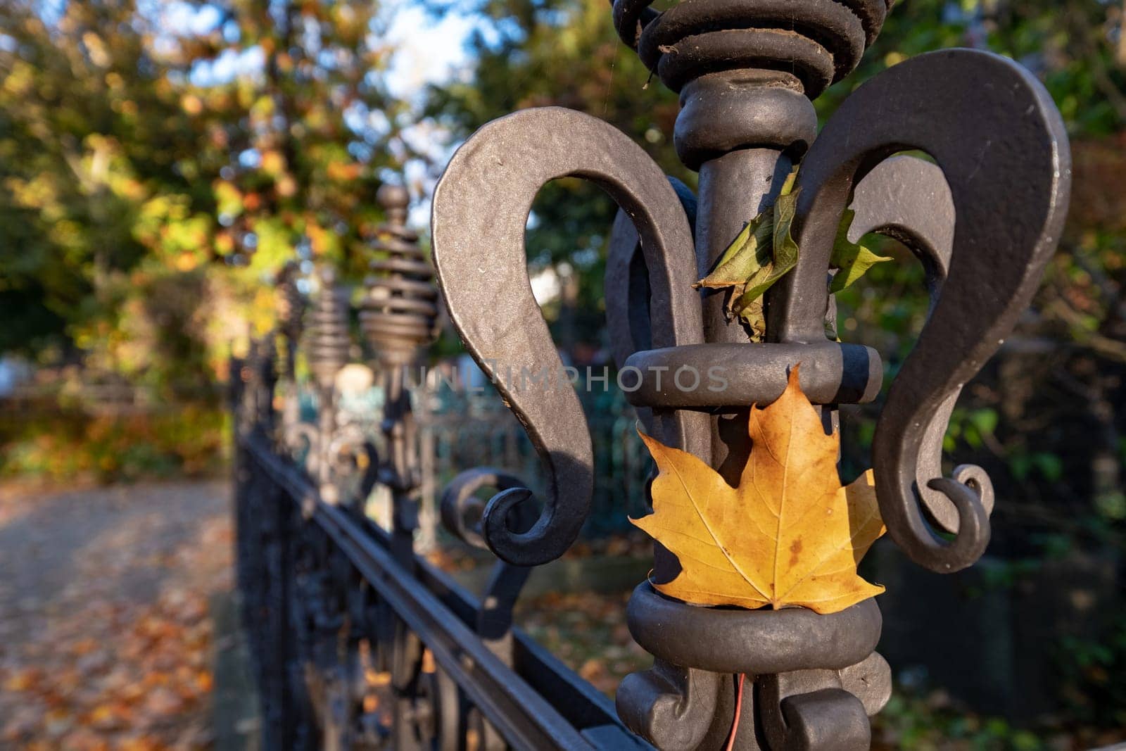 autumn at the Dorotheenstädtischer cemetary in Berlin