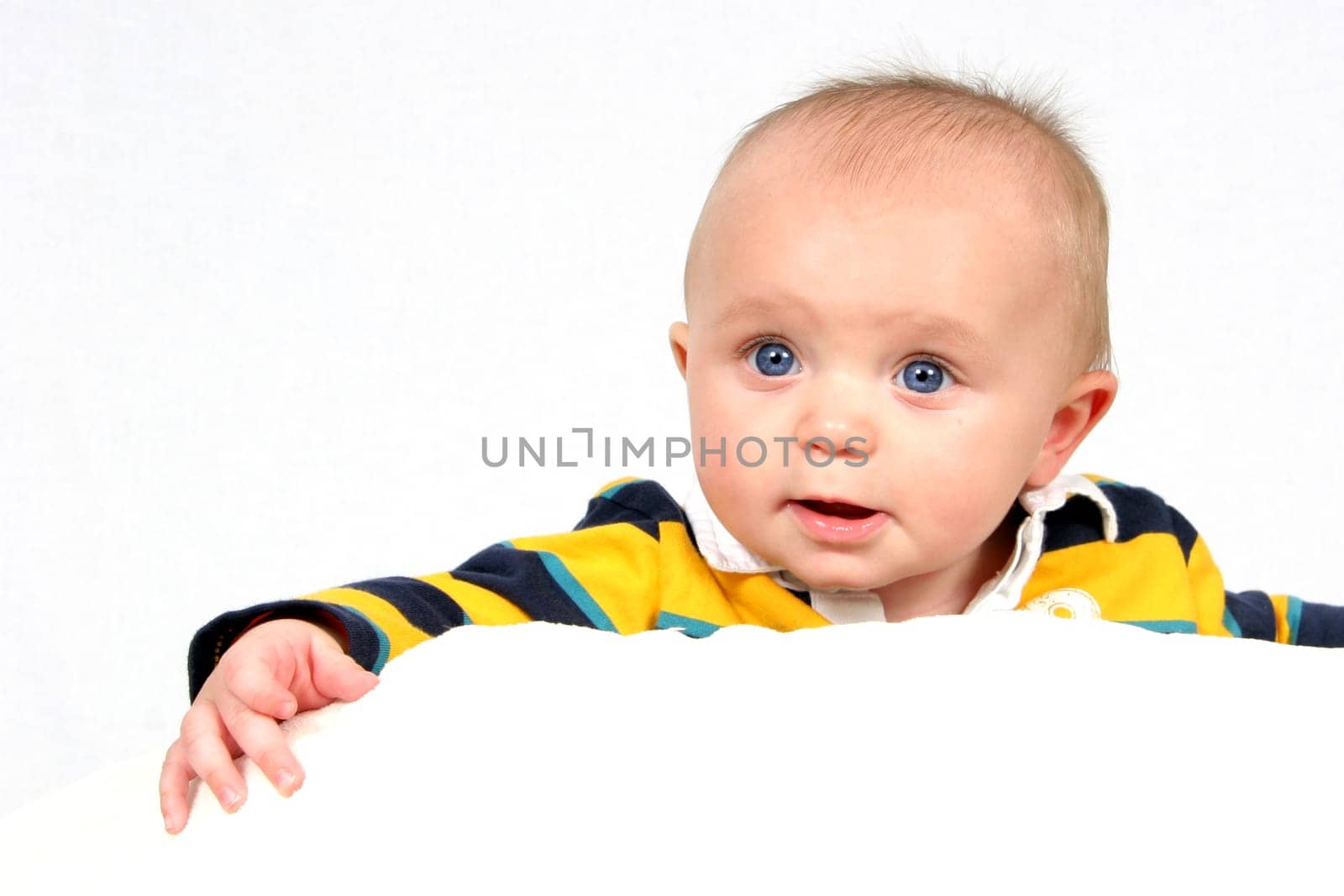 Little Cutie taken closeup