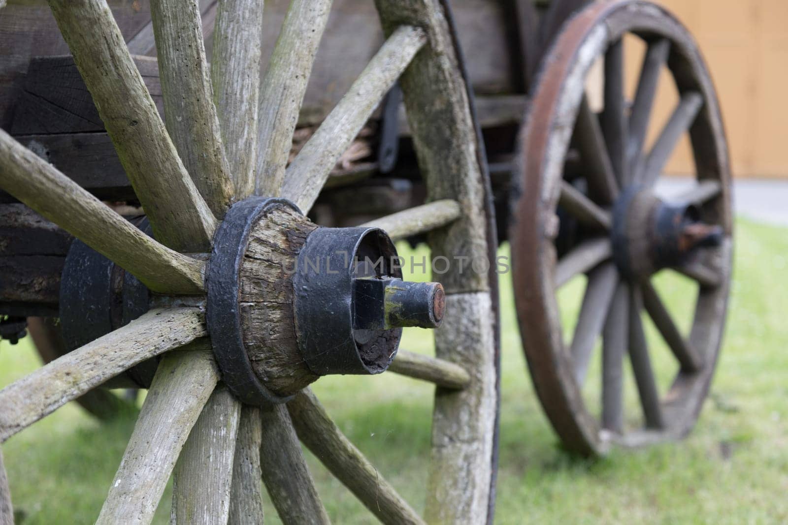 Wheels of a horse-drawn carriage with spokes and axles