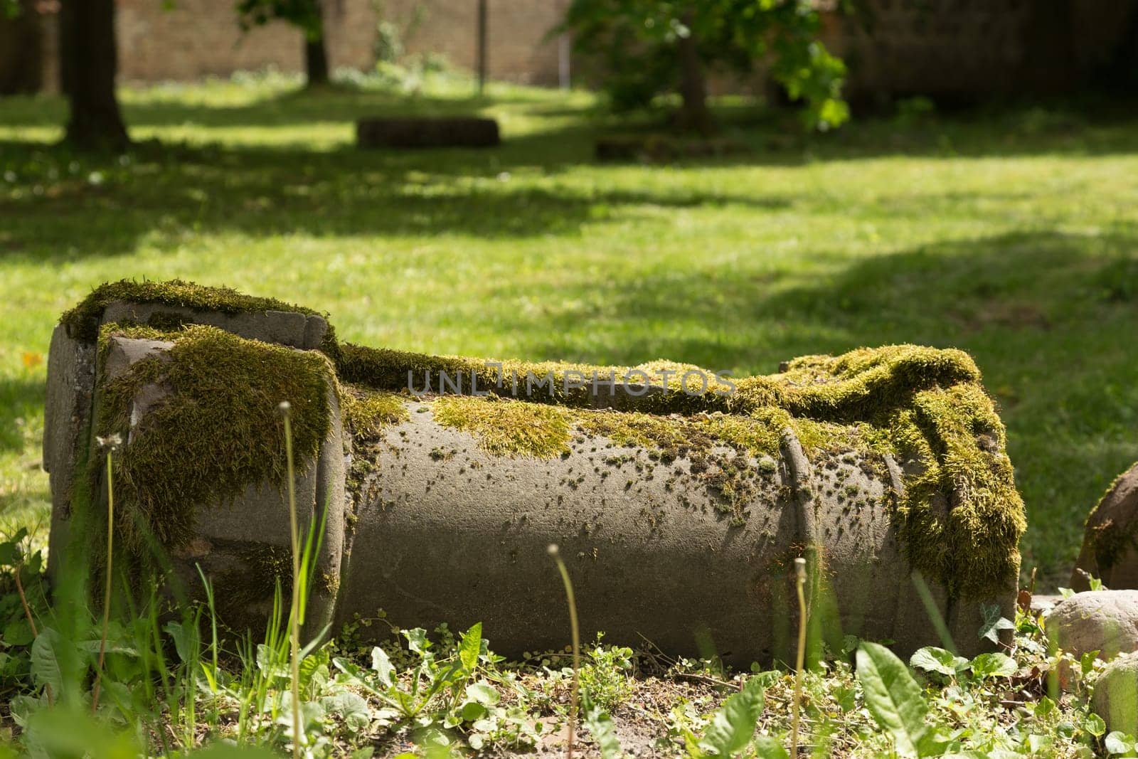 Fallen column with moss cover