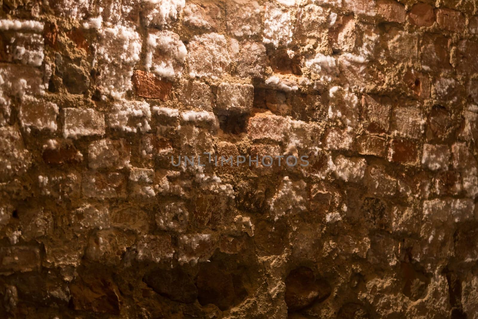 Wall littered with salt crystals in a basement