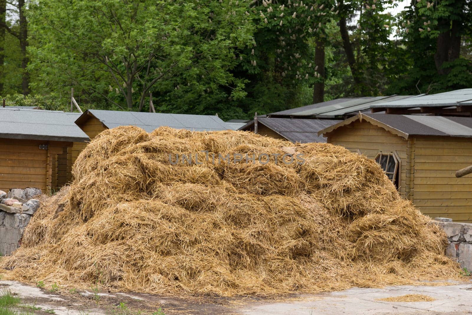 Misthaufen on a farm in Brandenburg