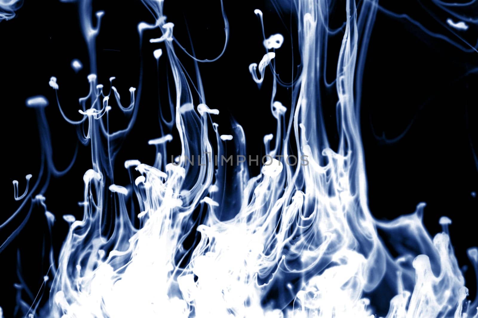 abstract ink background flow in water