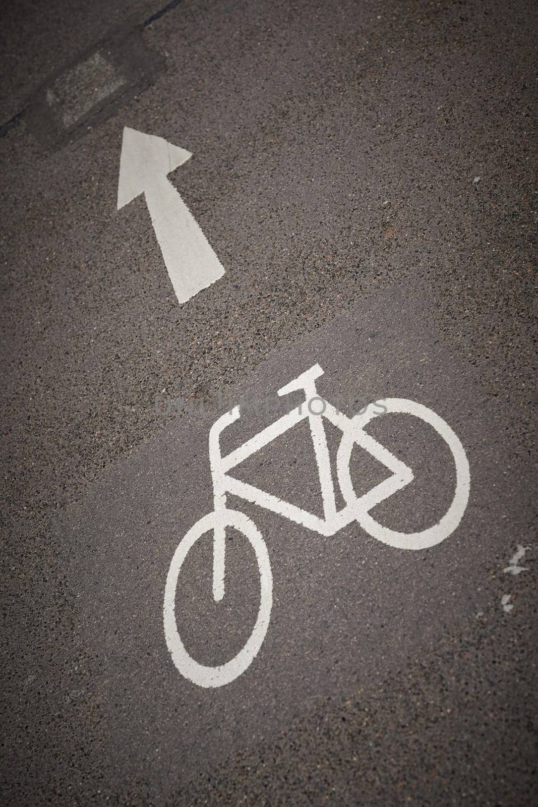 Road marking on asphalt to indicate a bicycle lane with directional arrow