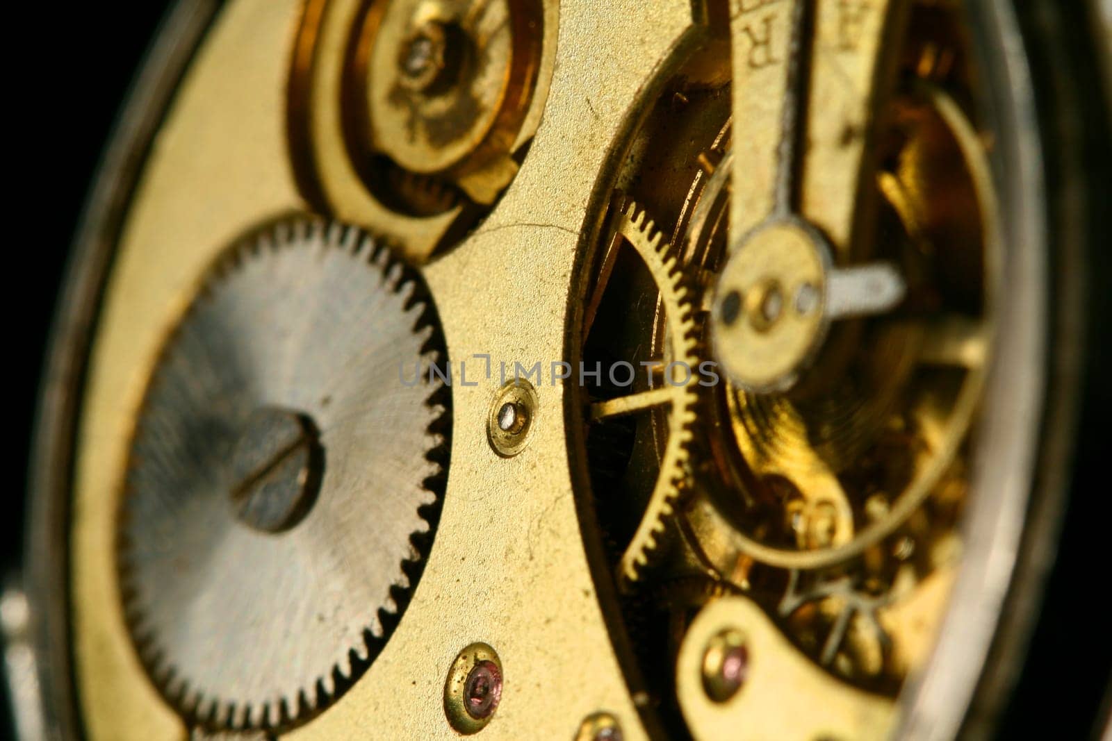 golden gear macro close up