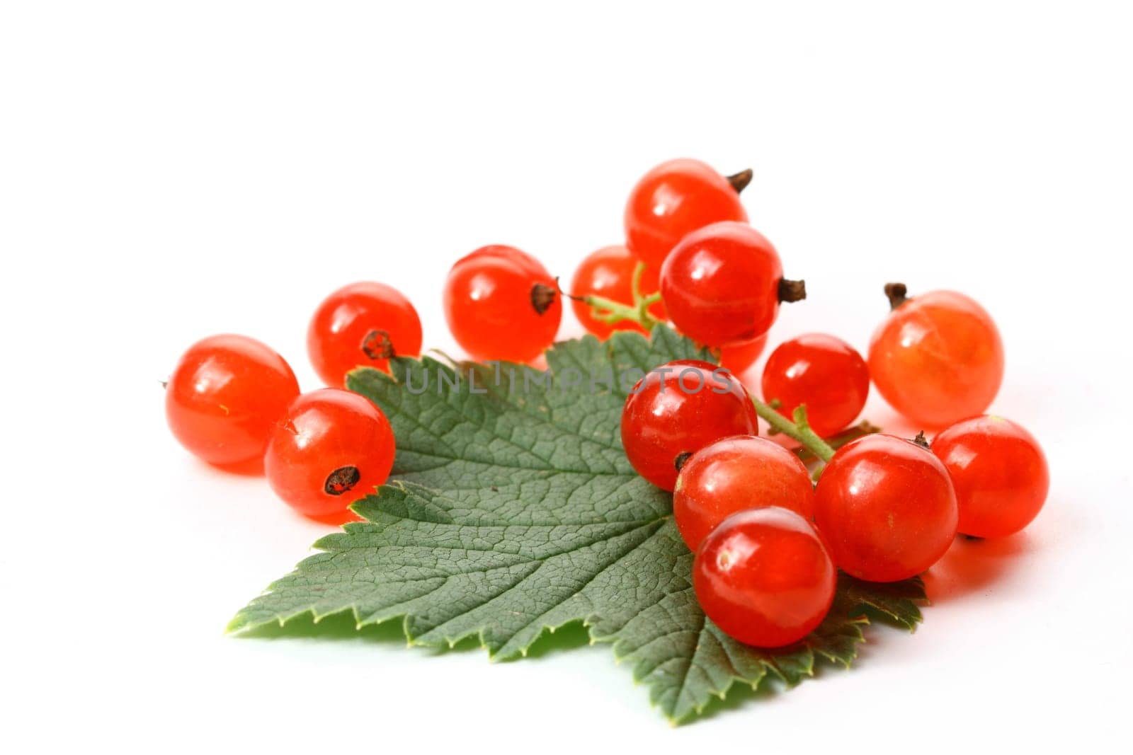 red currant and green leaf isolated on white background