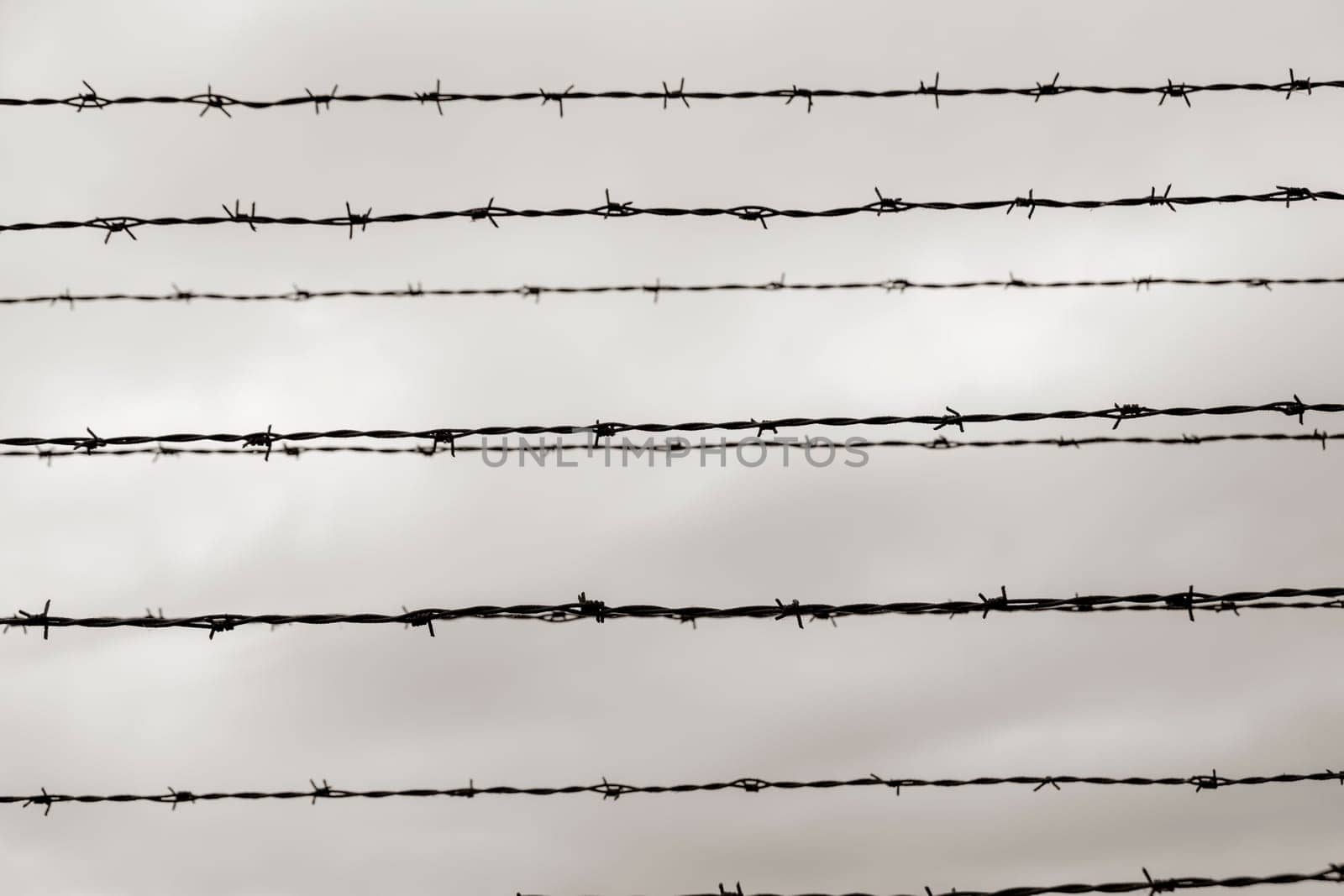 Barbed wire fence in Auschwitz Nazi concentration and extermination camp in Poland
