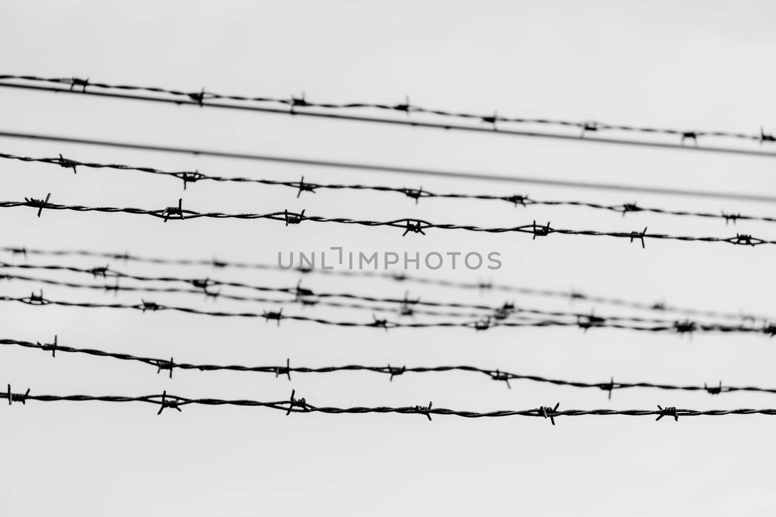 Barbed wire fence in Auschwitz Nazi concentration and extermination camp in Poland