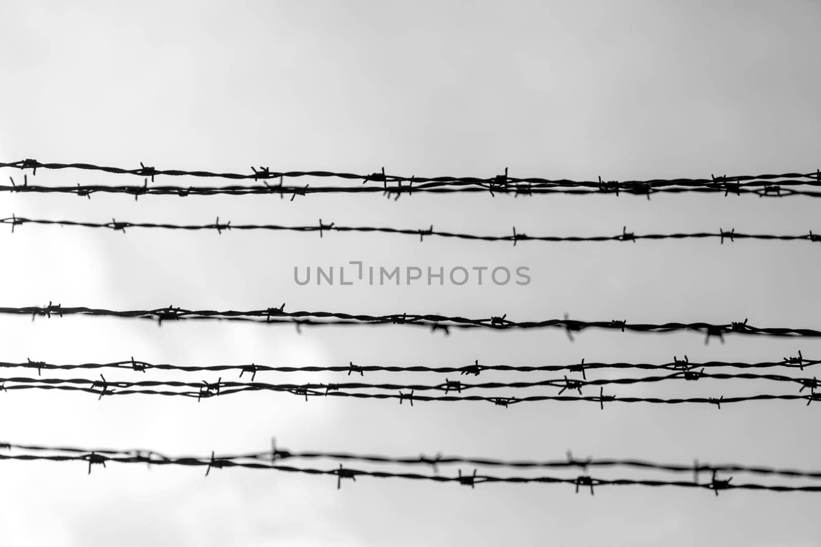 Barbed wire fence in Auschwitz Nazi concentration and extermination camp in Poland