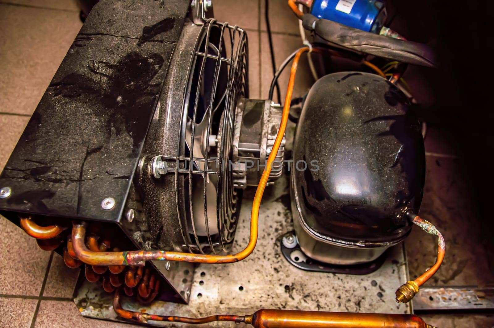 Repair of the engine of an industrial refrigerator unit. Refrigerator repair. Industrial refrigeration equipment electric motor. Service of commercial equipment for cooling products. Service.