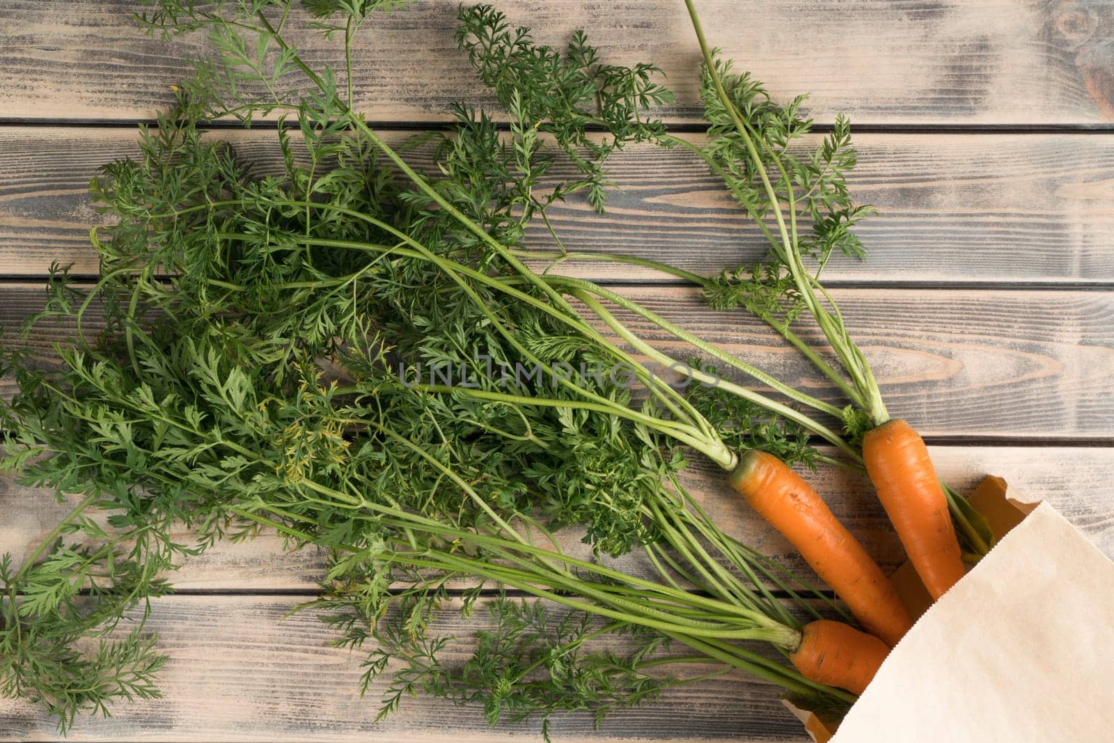 Bunch of fresh ripe carrots with long green haulm on faded wooden table, top view. Unpacking vegetables from eco paper bag. Organic food or healthy diet concept. Objects layout. Planking.