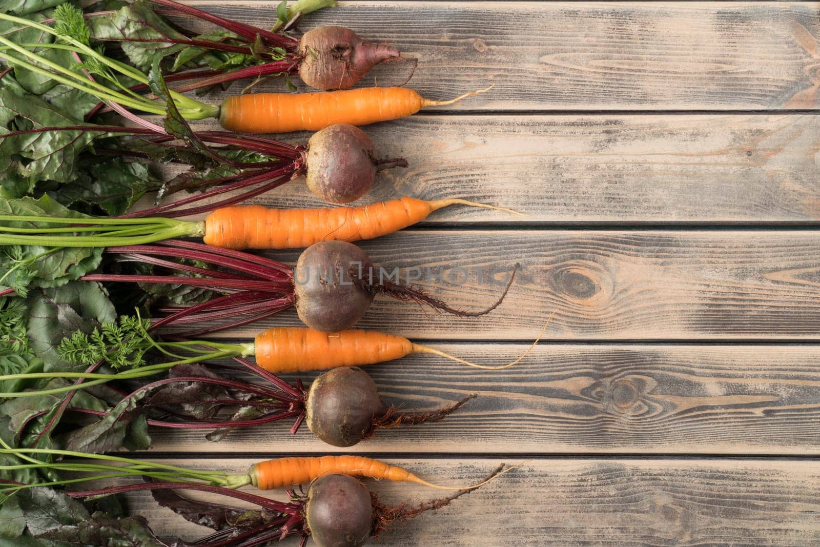 Vertical row of sequentially located fresh beets and carrots with long green haulm on wooden table, top view. Farm vegetables, vitamins. Organic food or healthy diet concept. Objects layout. Planking.