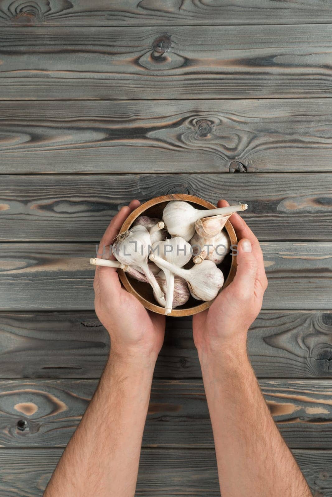 Bunch of white unpeeld garlic on gray wooden table, top view. Human hands hold bowl full of aromatic spice. Food or healthy diet concept. Copy space for text. Planking. Culinary and cooking.