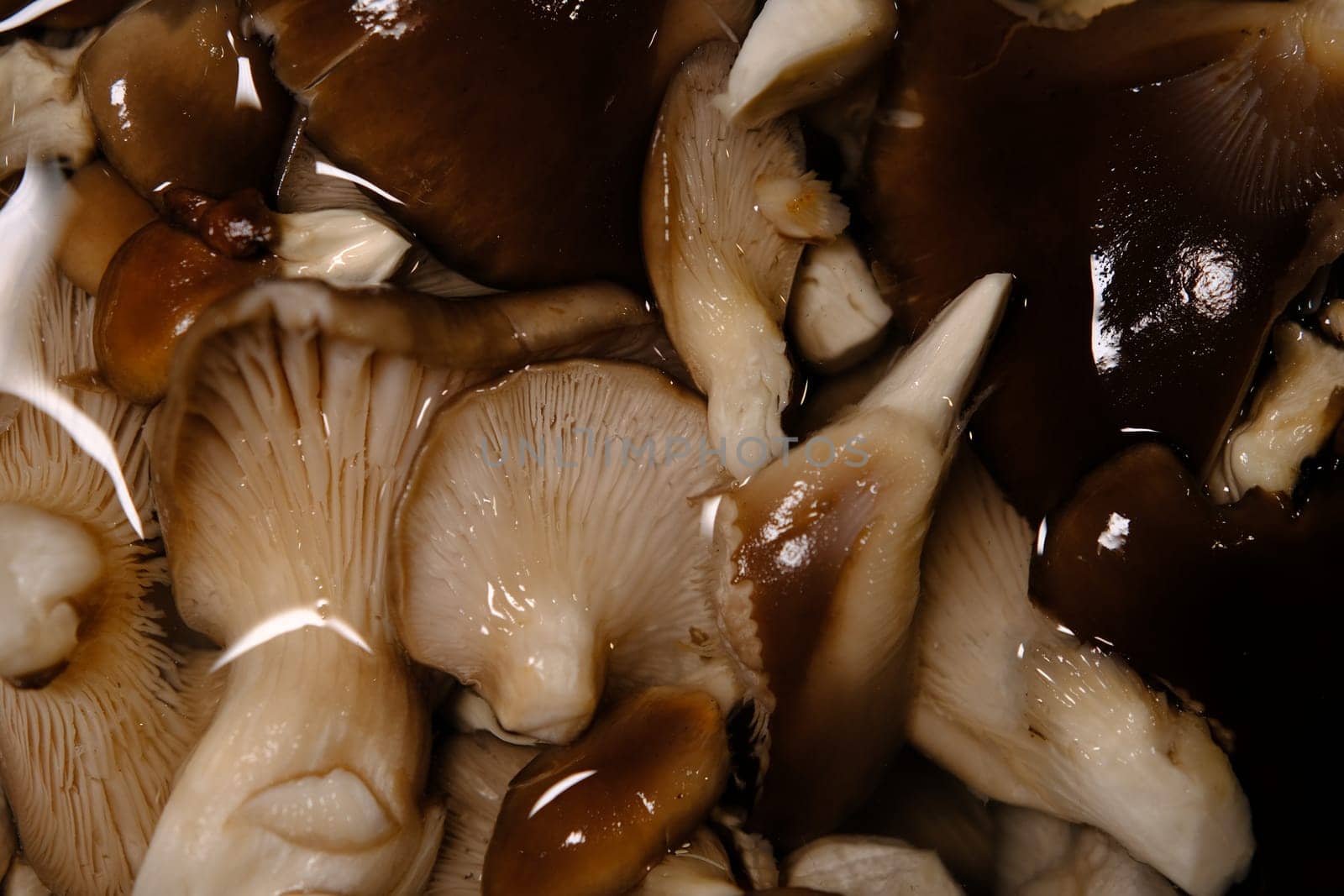 top view of fresh brown oyster mushrooms soaked in water, wash and clean ingredient before cooking.