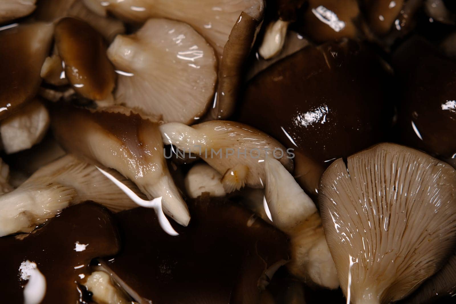 top view of fresh brown oyster mushrooms soaked in water, wash and clean ingredient before cooking.