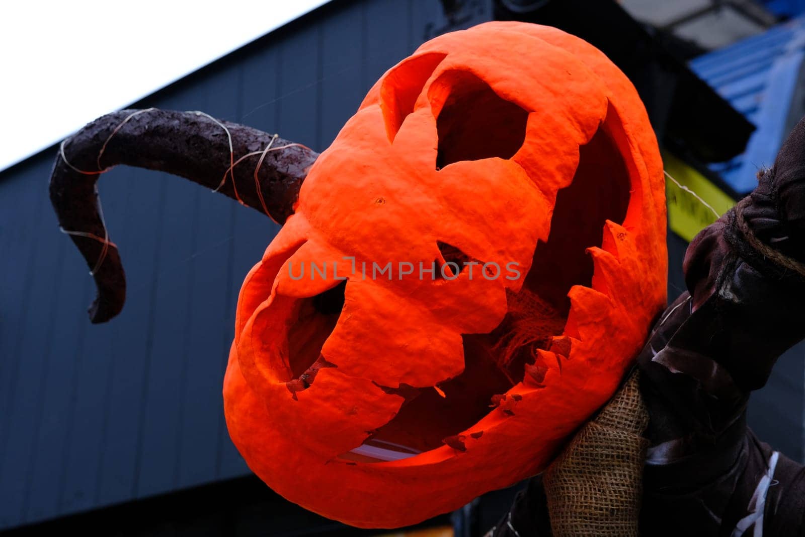 Helloween Pumpkin Head in orange paint with long tail.