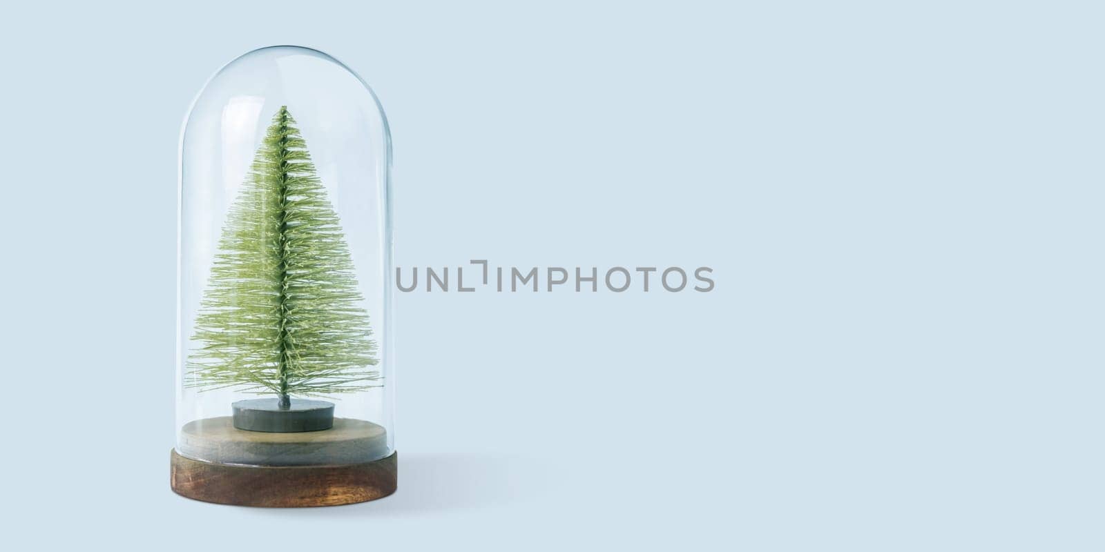 Christmas winter festive ornament. Christmas tree in glass dome. Christmas holiday party decoration. Minimal holiday greeting season. Merry Christmas and Happy New Year. Panoramic banner.