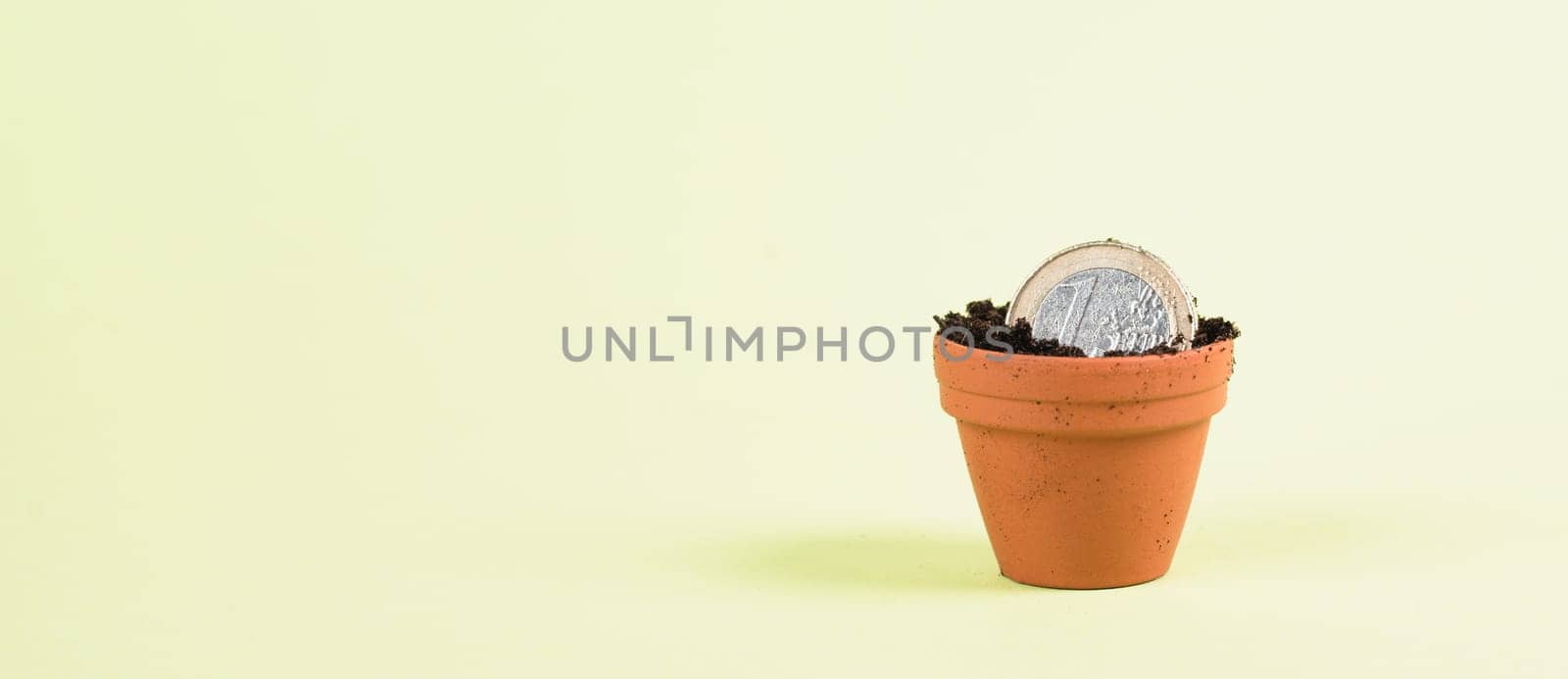 One Euro coin in small flowerpot, money growing, financial planning, profitable investment, hope concept