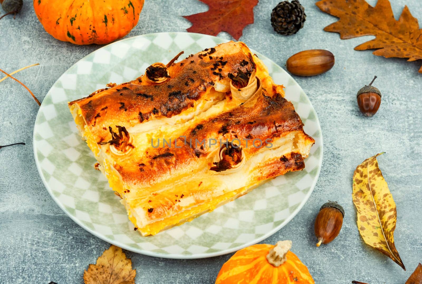 Pumpkin baked with cottage cheese in pita bread, appetizing autumn pie.