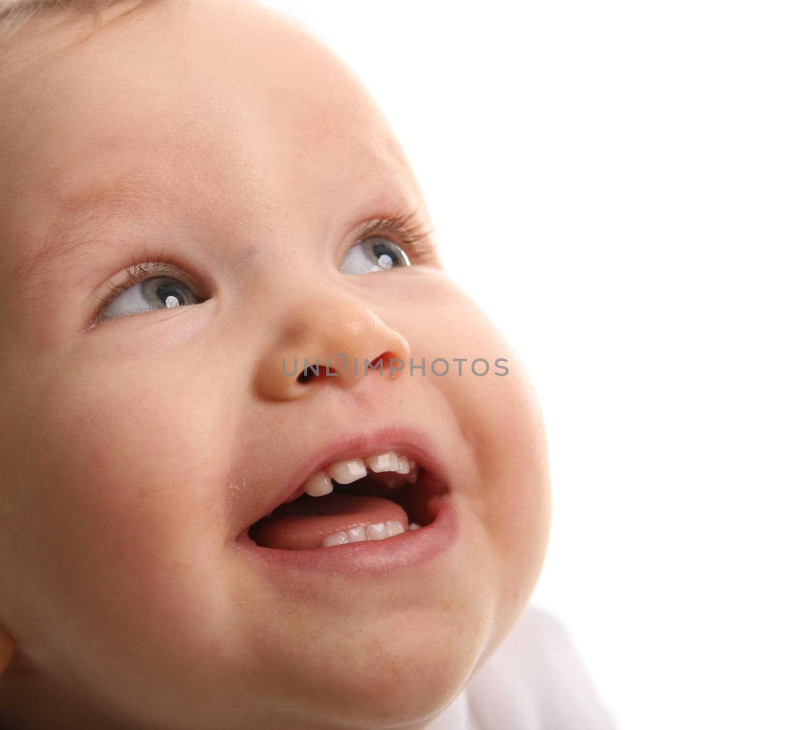 baby on the white background