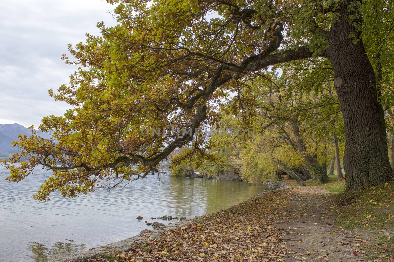 autumn view of lake and trees in Toscana Park, Gmunden