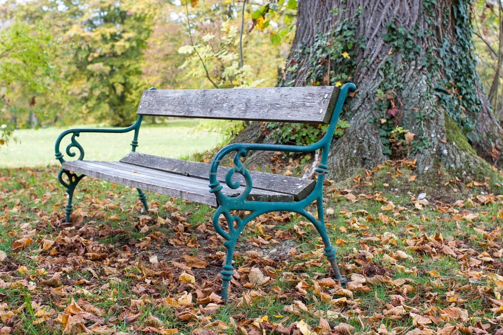 bench in Toscana Park in Gmunden, Austria