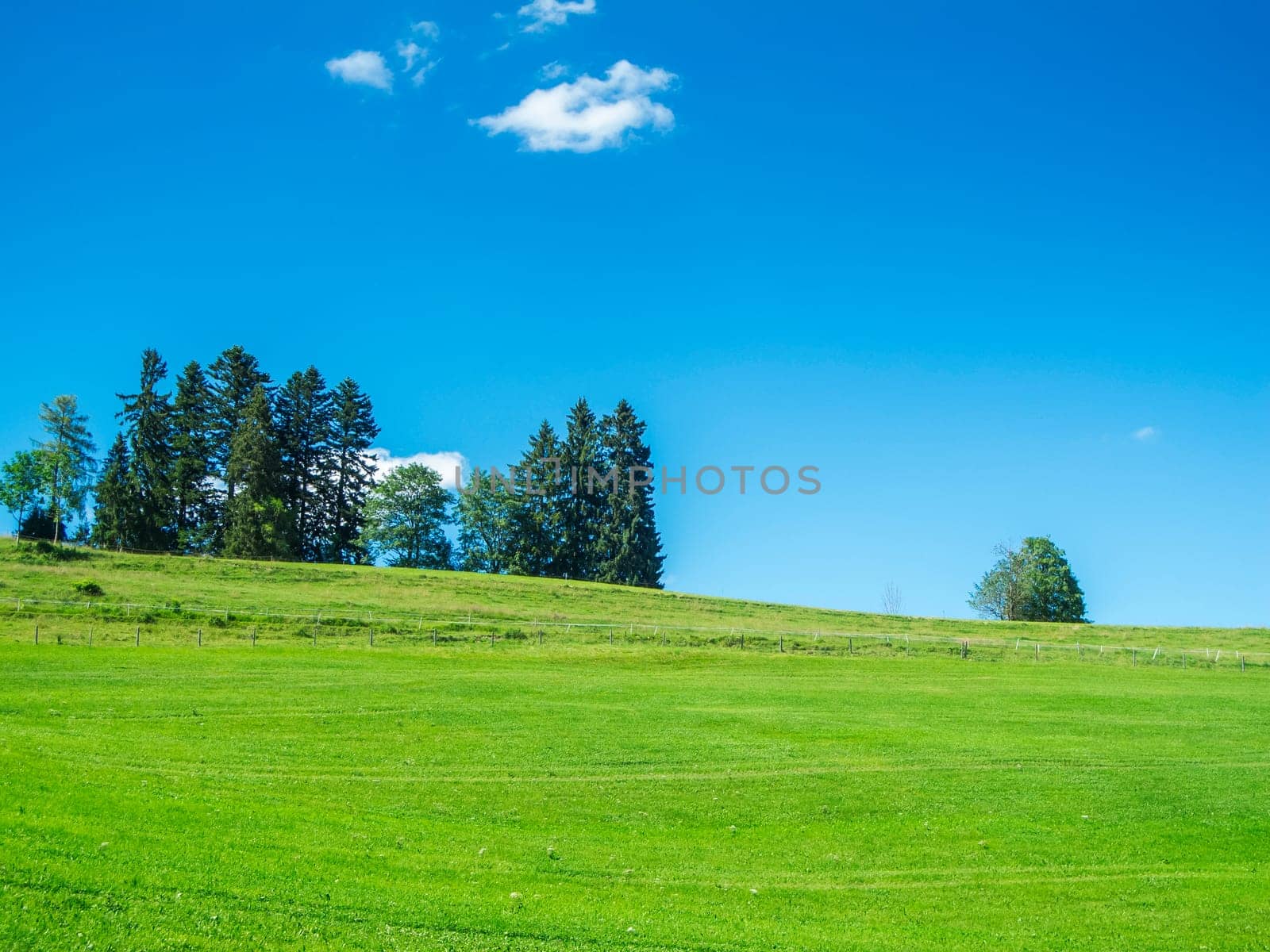 Landschaftsansicht mit grüner Wiese und kleiner Baumgruppe im Vordergrund vor blauen Himmel mit kleinen weißen Wolken im Sommer bei Sonnenschein.