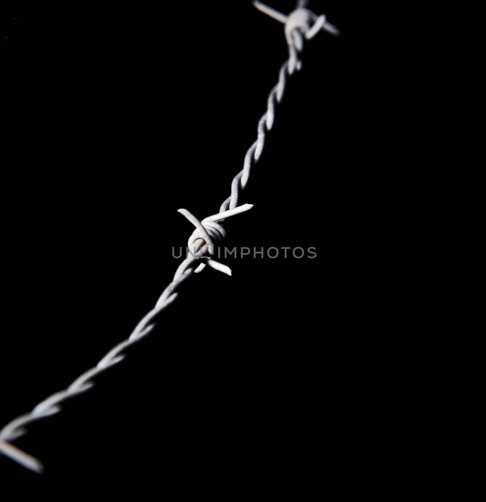Barbed Wire Close Up with black background