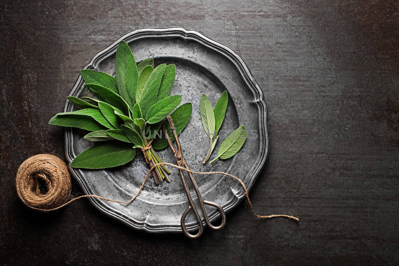 Sage leaves in plate. Medicinal herbs.
