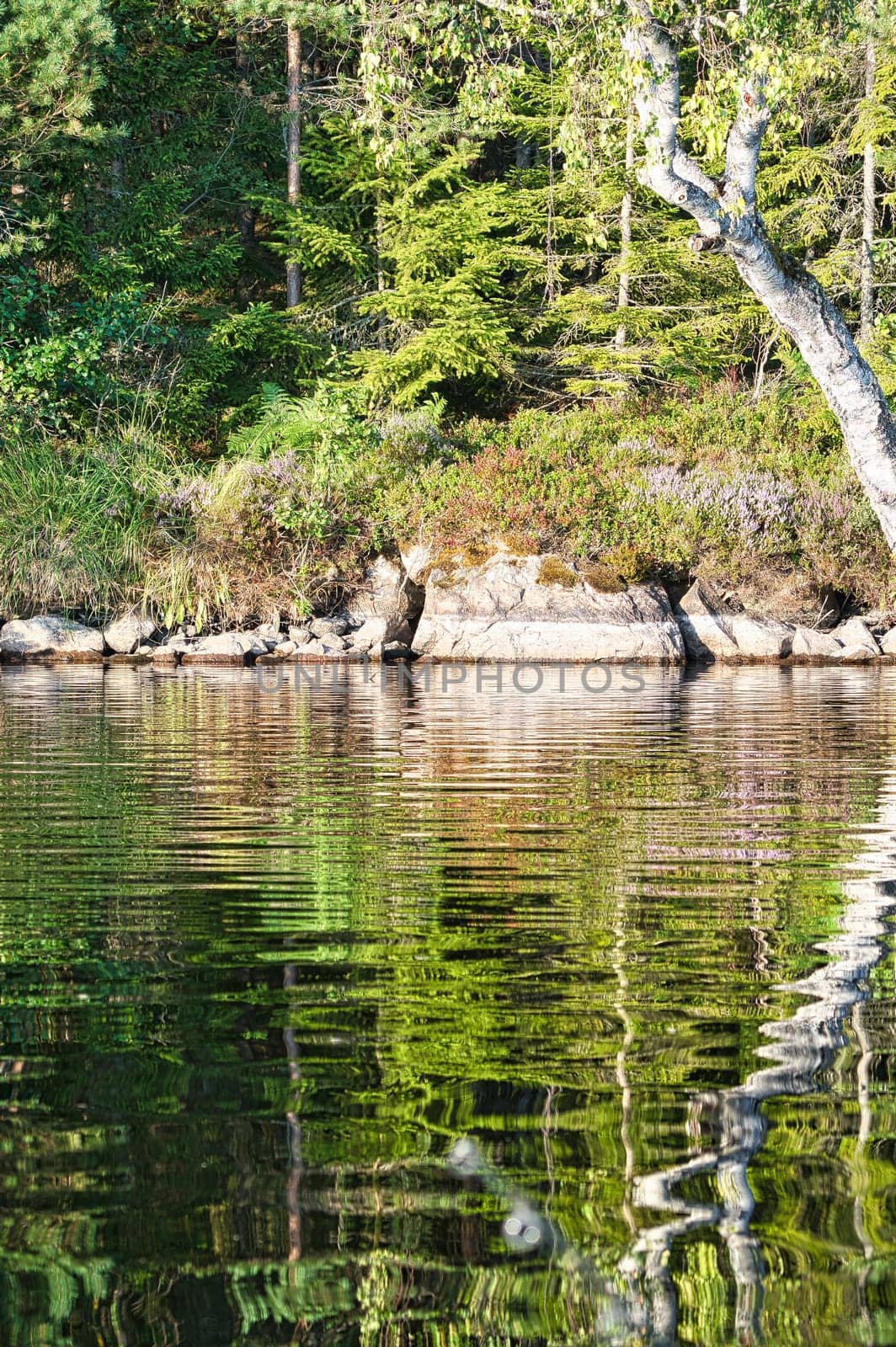 On the shore of a lake with rocks, trees and reflection in the water in Sweden, Smalland. Wild nature in Scandinavia. Landscape photo from the north