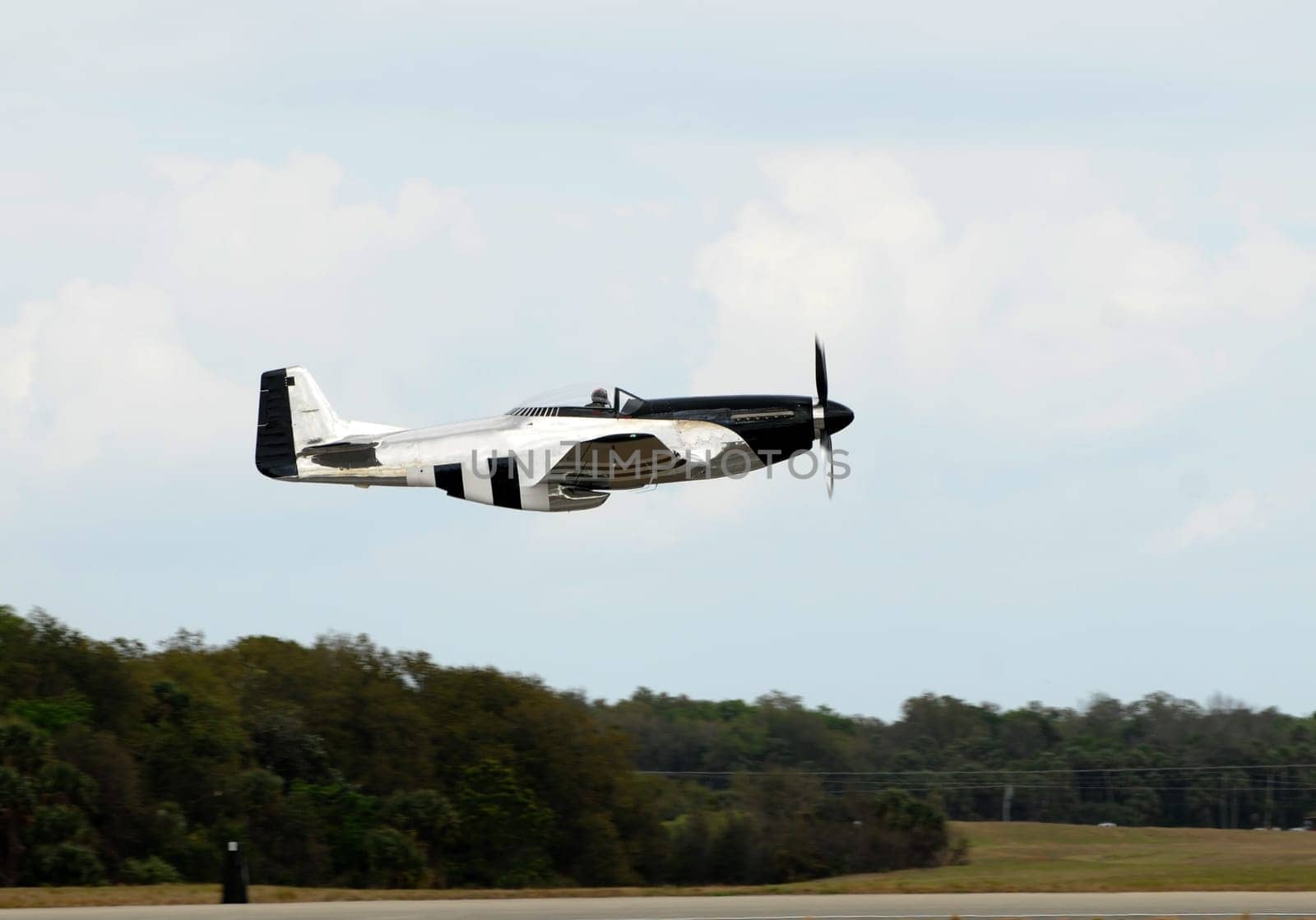 World War II era American military fighter
