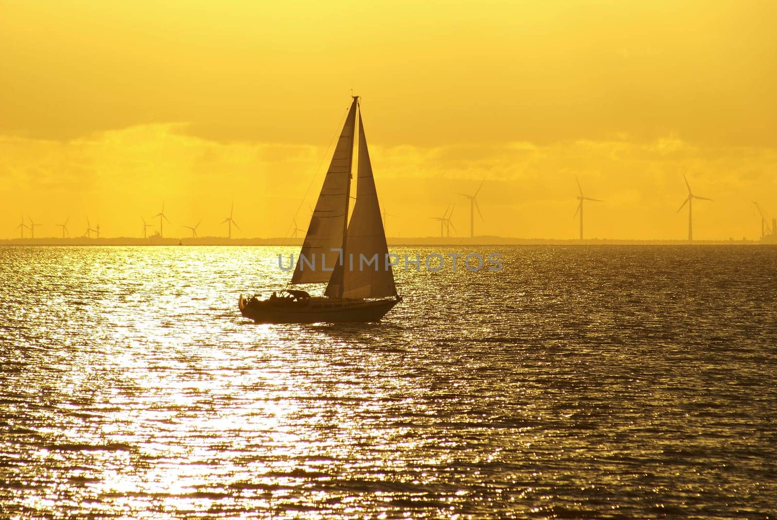 Sailboat in the beautiful sunset