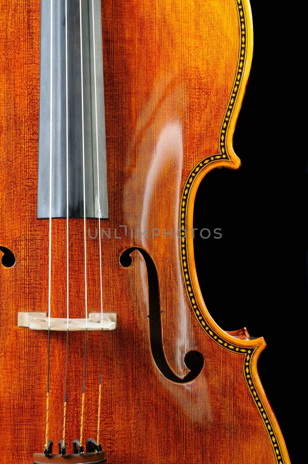 beautiful cello over a black background